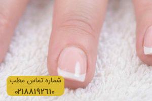 اصول مقاوم سازی ناخن