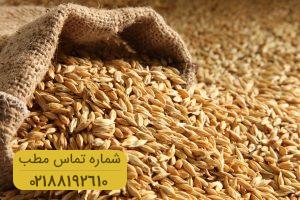 پاکسازی طبیعی منافذ پوست با ماسک جو