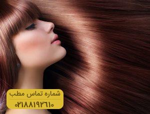استفاده از طب سنتی راهکاری طلایی برای درمان شپش سر