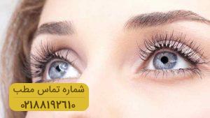 قبل از کاشت ابرو این مطلب را بخوانید