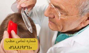 درمان های مختلف برای شپش سر