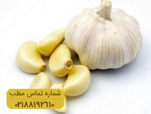 سیر چه فوایدی برای مو دارد